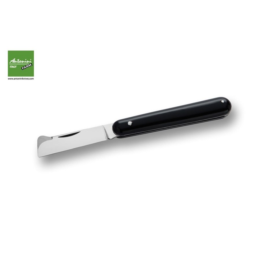 Antonini Traditional 5540/N